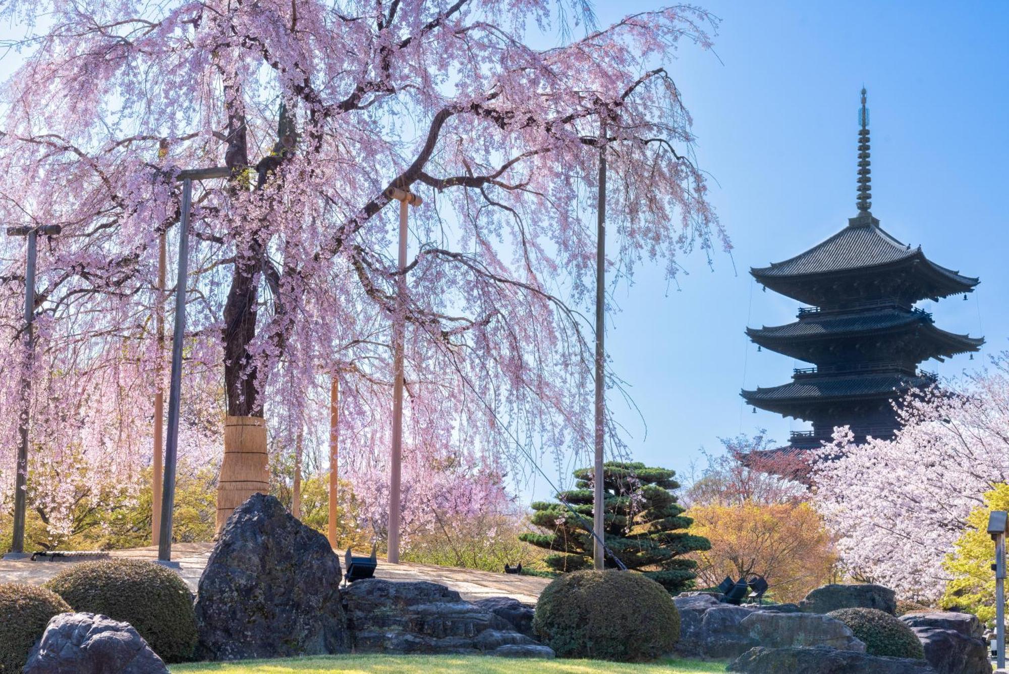 Omo3 Kyoto Toji By Hoshino Resorts Εξωτερικό φωτογραφία