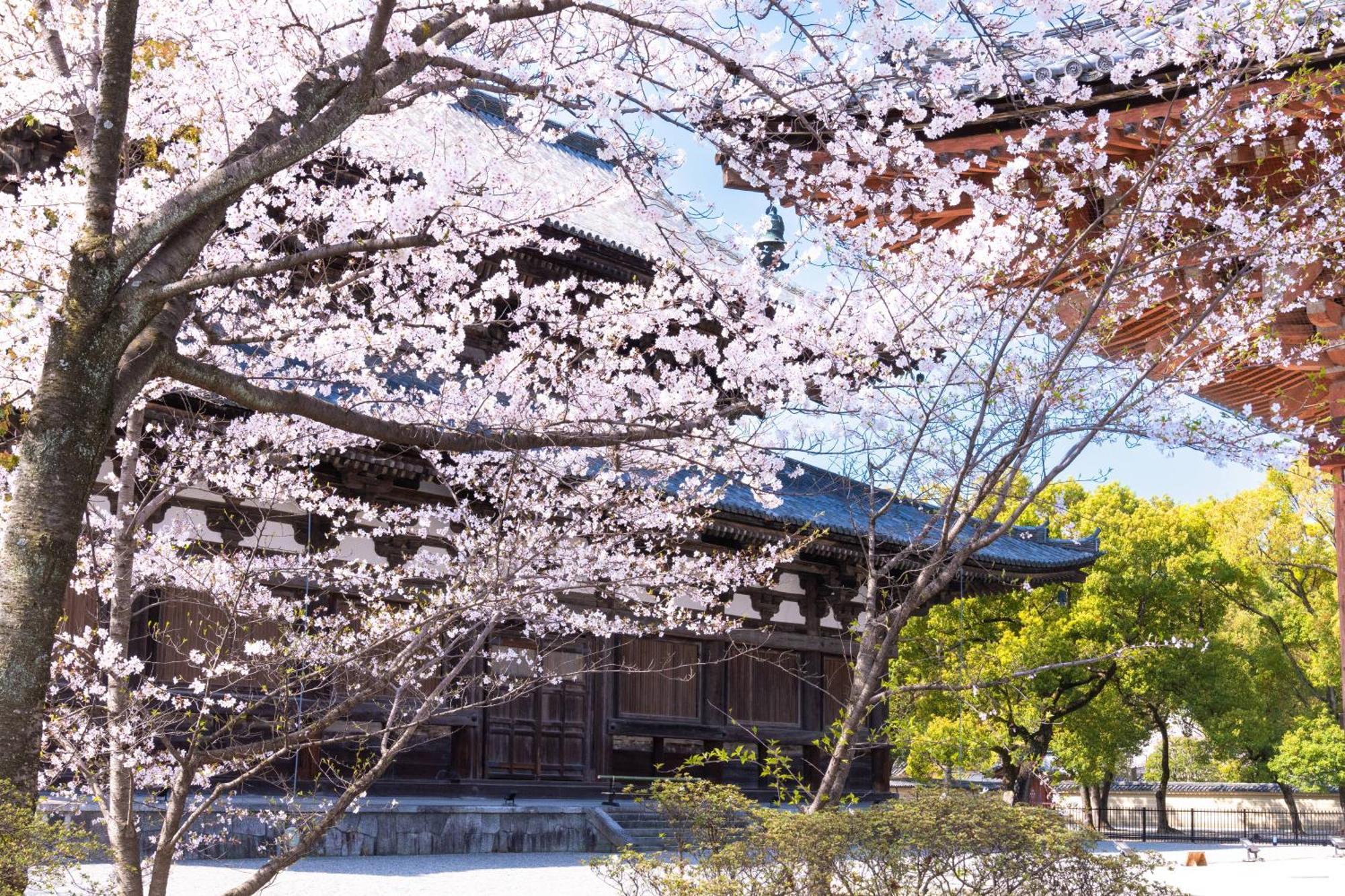 Omo3 Kyoto Toji By Hoshino Resorts Εξωτερικό φωτογραφία
