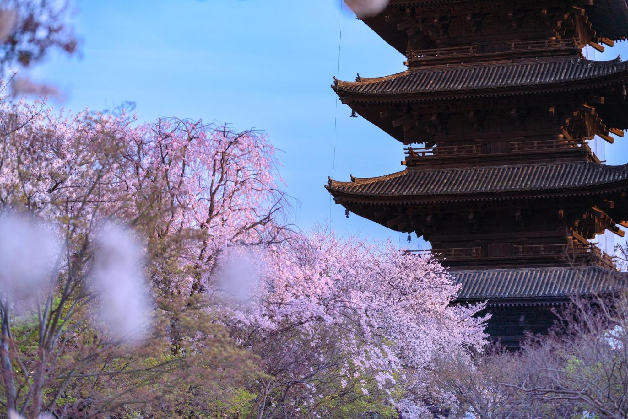 Omo3 Kyoto Toji By Hoshino Resorts Εξωτερικό φωτογραφία