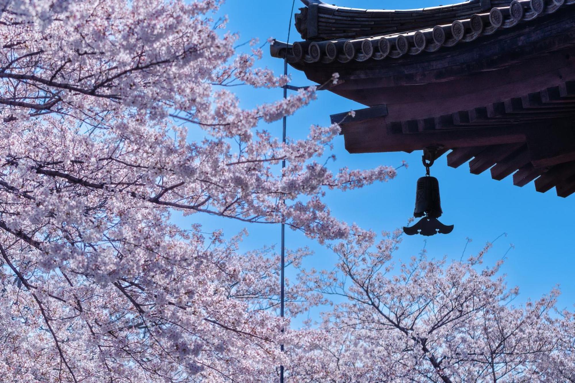 Omo3 Kyoto Toji By Hoshino Resorts Εξωτερικό φωτογραφία